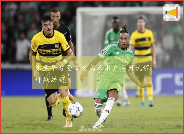 乐鱼平台登录方式及用户注册流程详细说明