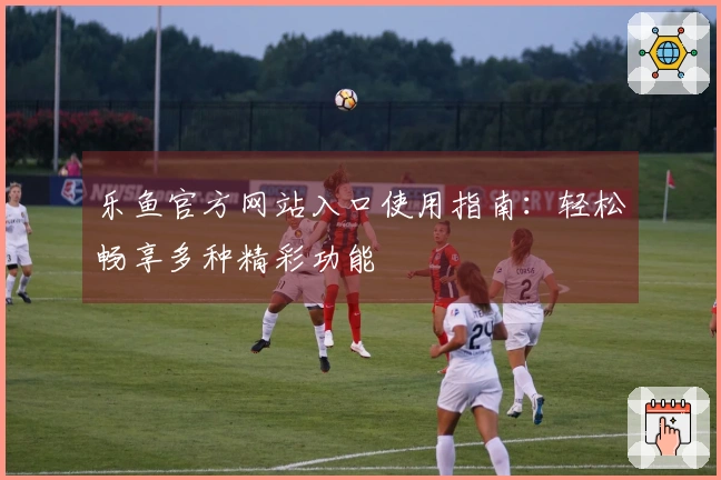 乐鱼官方网站入口使用指南：轻松畅享多种精彩功能