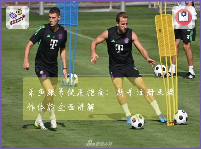 乐鱼账号使用指南：新手注册及操作体验全面讲解