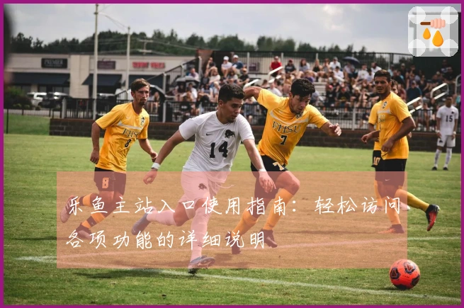 乐鱼主站入口使用指南：轻松访问各项功能的详细说明