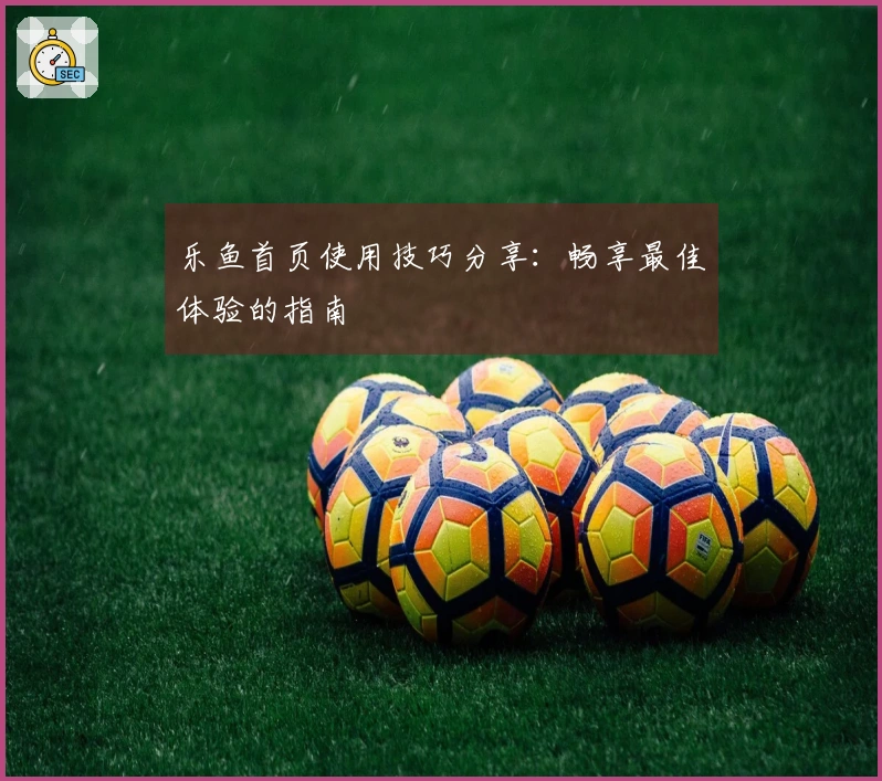 乐鱼首页使用技巧分享：畅享最佳体验的指南