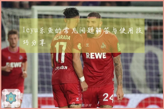 leyu乐鱼的常见问题解答与使用技巧分享
