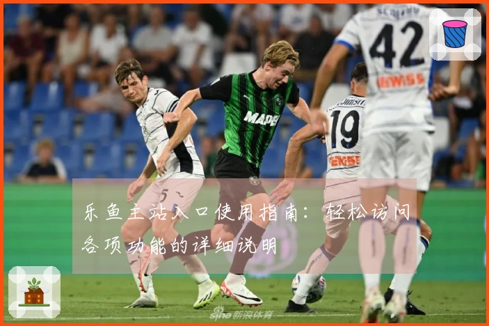 乐鱼主站入口使用指南：轻松访问各项功能的详细说明