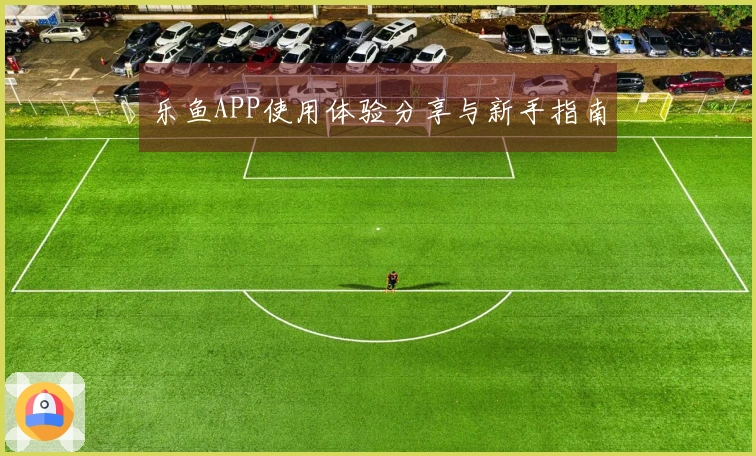 乐鱼APP使用体验分享与新手指南